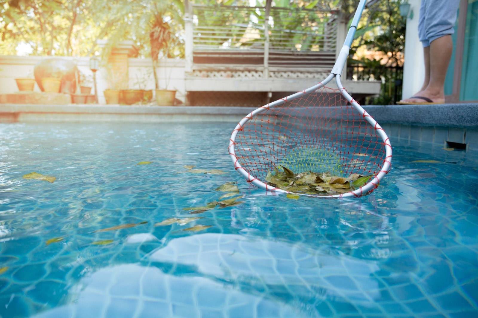 Technician skimming leaves from a backyard pool during weekly service